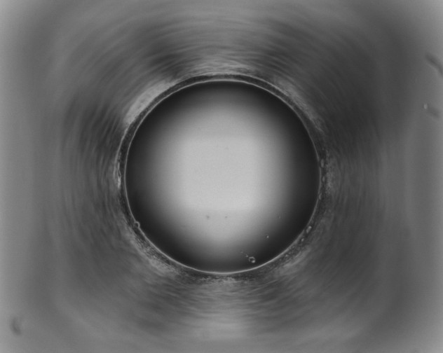 X0000101700885200807101534