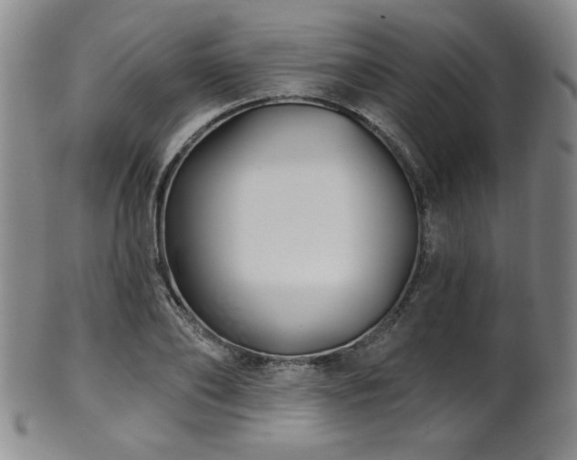 X0000101700886200807101534