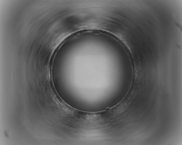X0000101700887200807101534