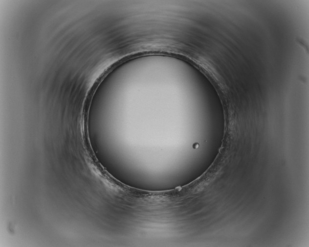 X0000101700888200807101534
