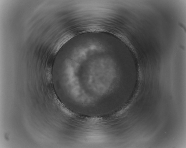 X0000101700889200807101534
