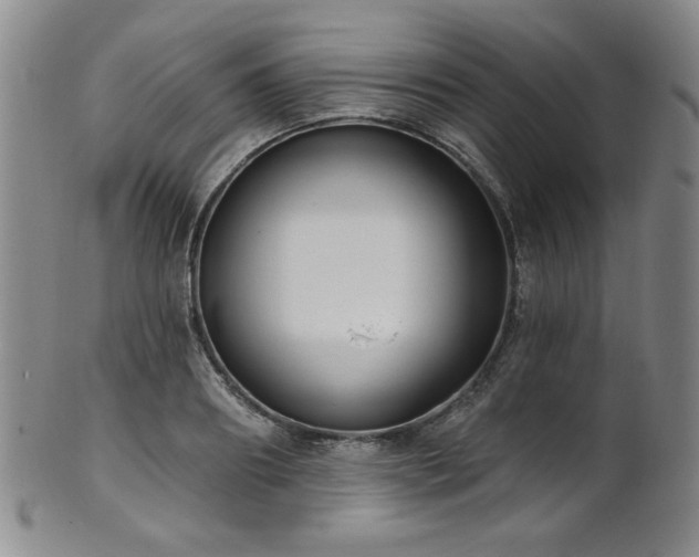 X0000101700890200807101534