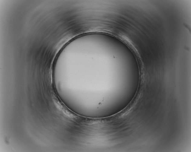 X0000101700892200807101534