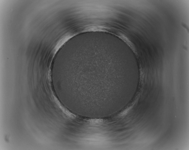 X0000101700893200807101534