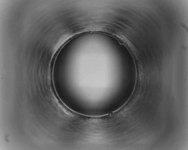 X0000101700894200807101534