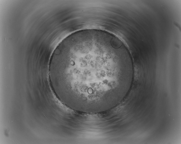 X0000101700895200807101534