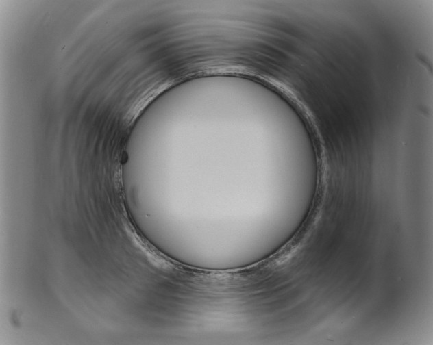 X0000101700897200807101534