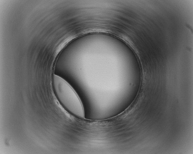X0000101700898200807101534