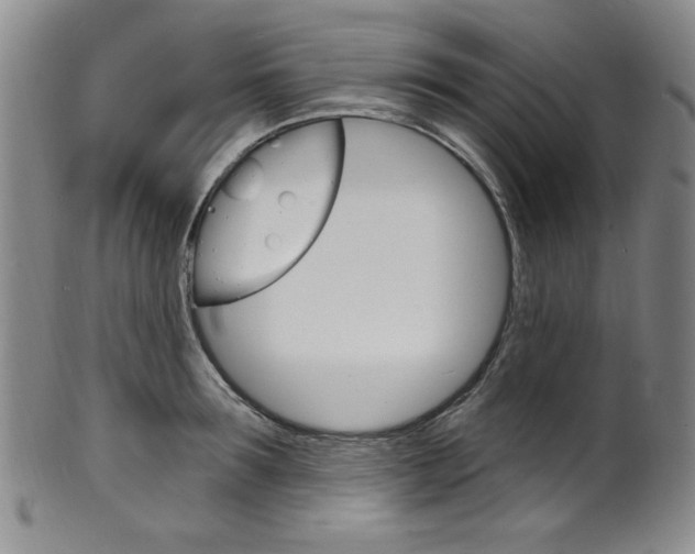 X0000101700899200807101534