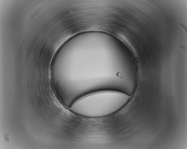 X0000101700900200807101534