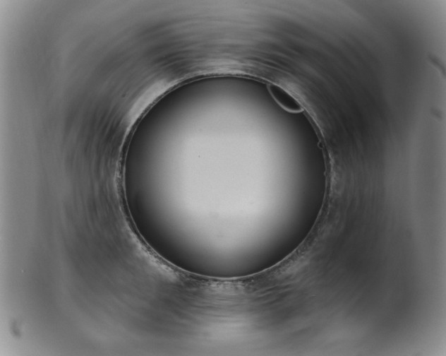 X0000101700901200807101534