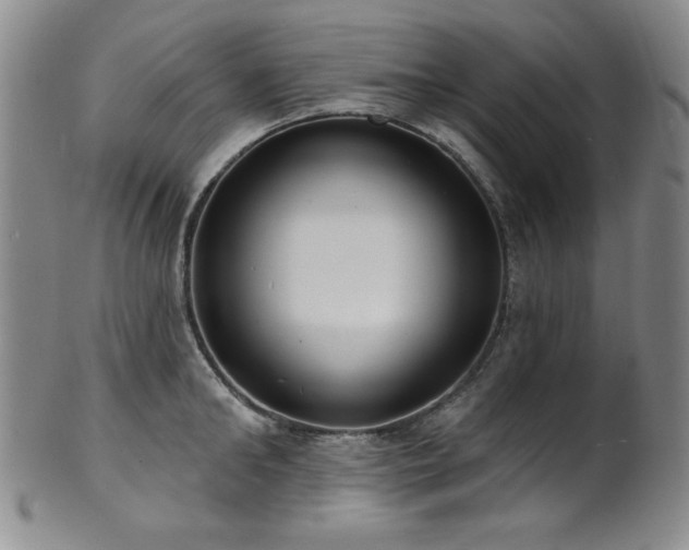X0000101700902200807101534