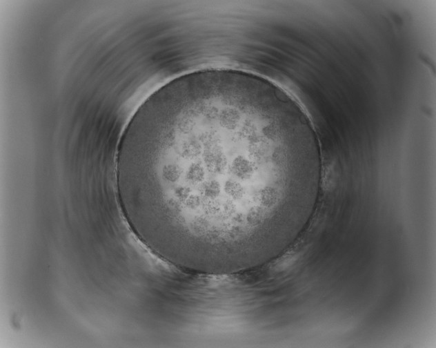 X0000101700903200807101534