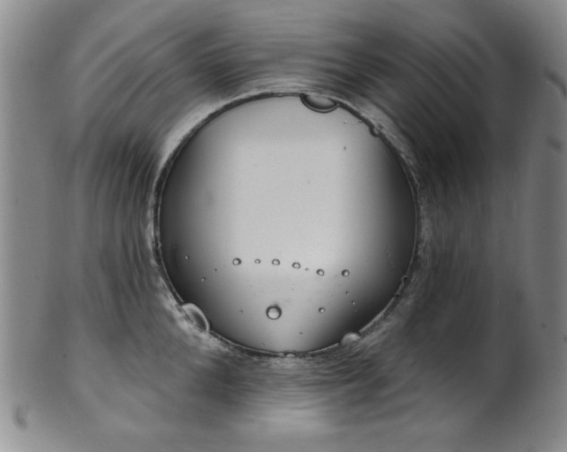 X0000101700904200807101534