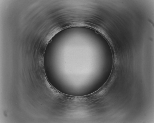 X0000101700905200807101534