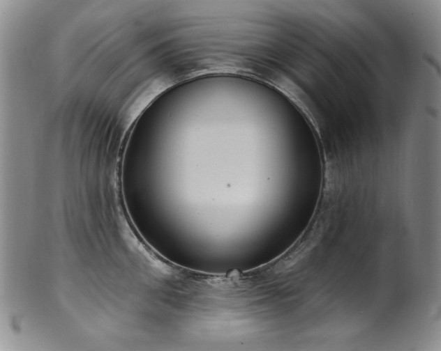 X0000101700906200807101534