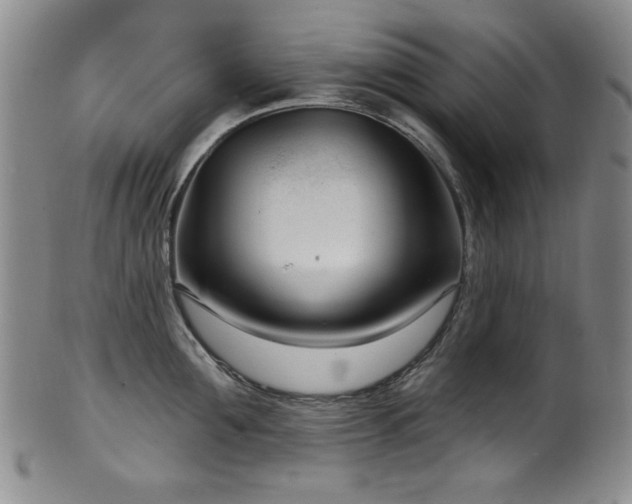 X0000101700907200807101534