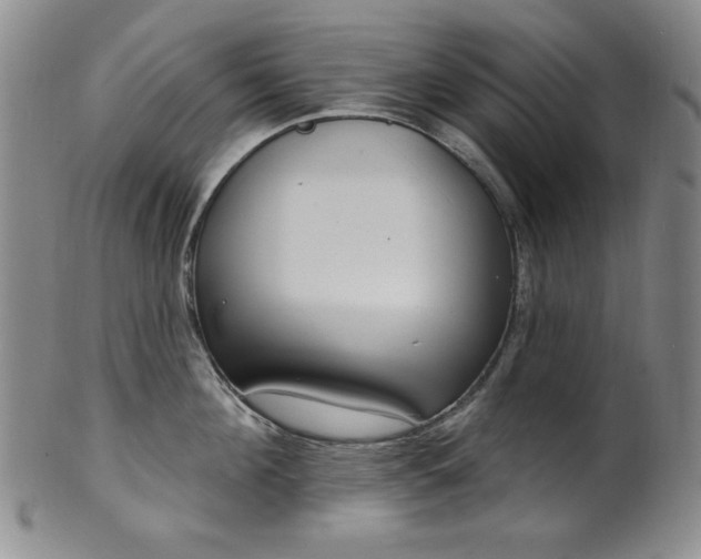 X0000101700908200807101534