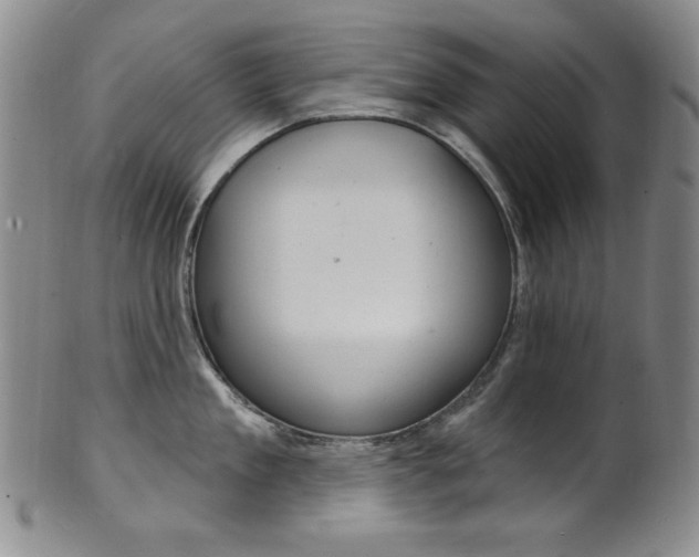 X0000101700909200807101534