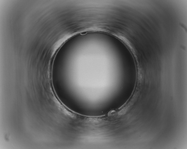 X0000101700910200807101534