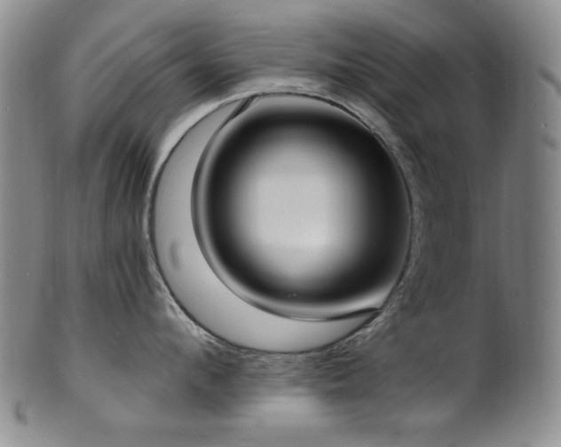 X0000101700912200807101534