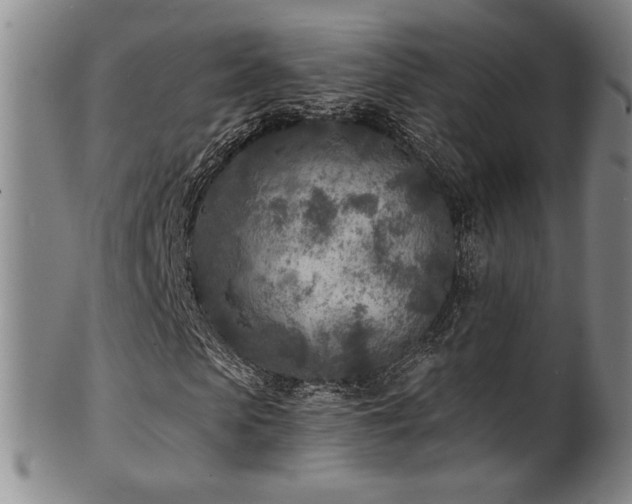 X0000101700913200807101533