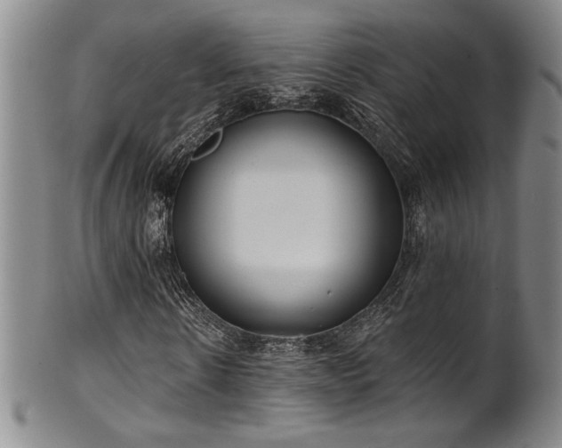 X0000101700914200807101533