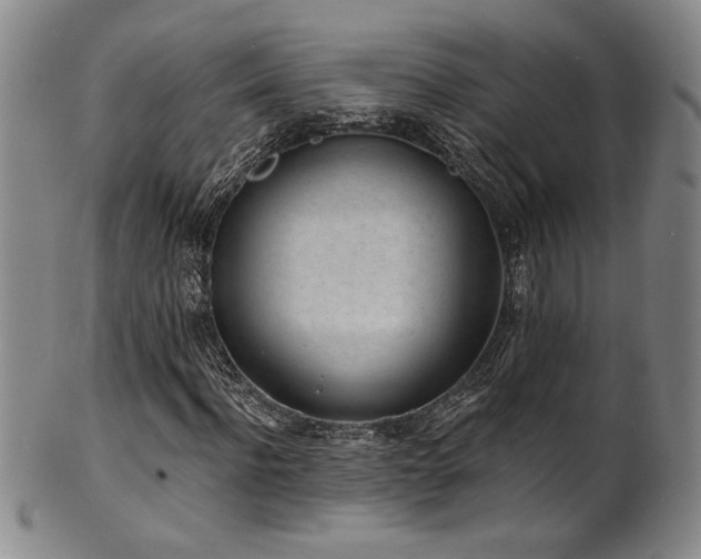 X0000101700916200807101533