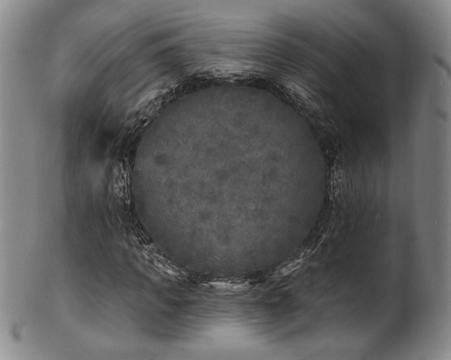 X0000101700917200807101533