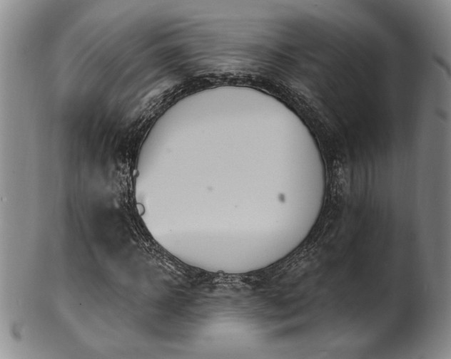 X0000101700918200807101533