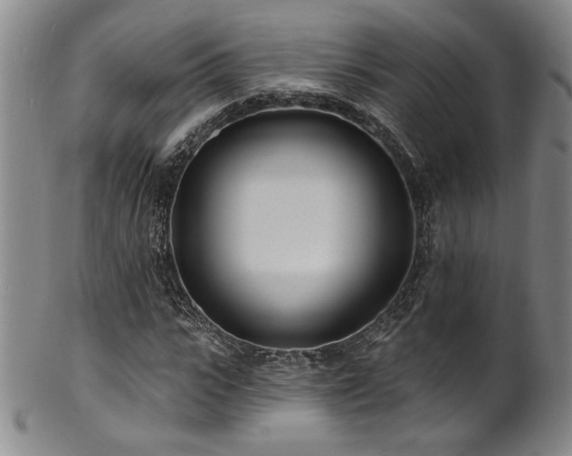 X0000101700919200807101533