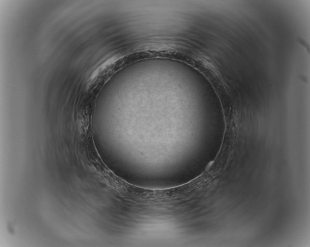 X0000101700920200807101533