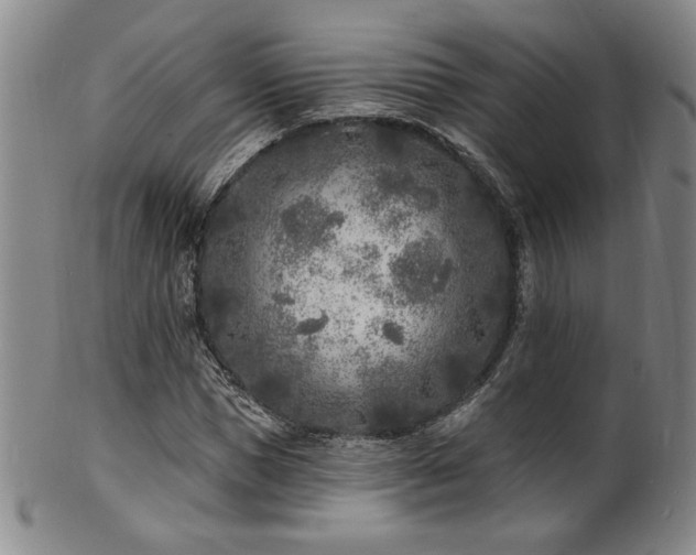 X0000101700921200807101533