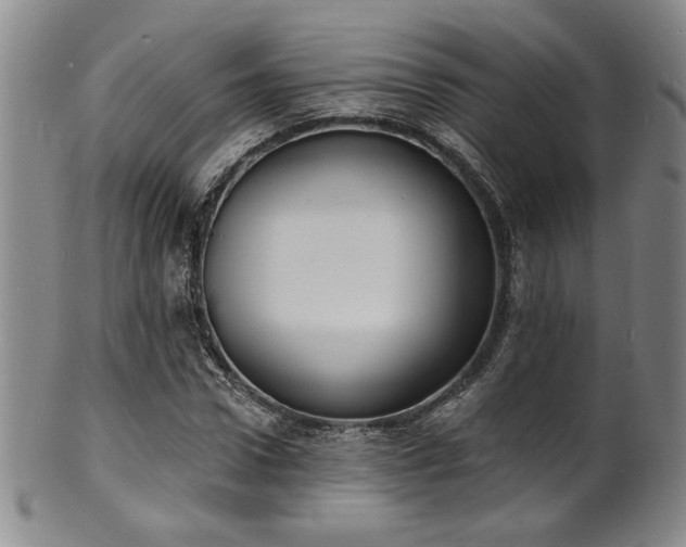 X0000101700922200807101533