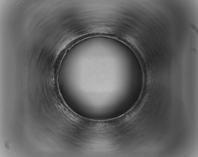 X0000101700923200807101533