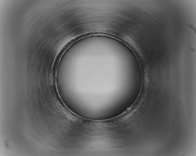 X0000101700924200807101533