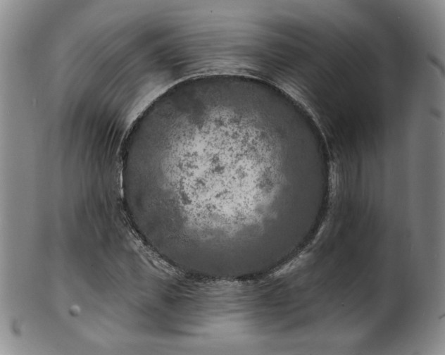 X0000101700925200807101533