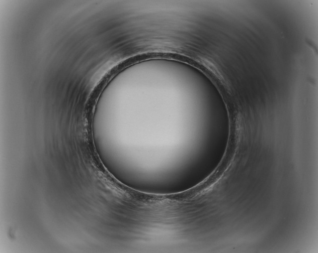 X0000101700926200807101533
