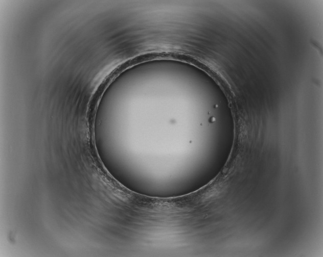 X0000101700927200807101533
