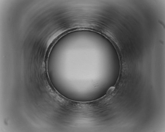 X0000101700928200807101533