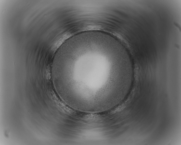 X0000101700929200807101533