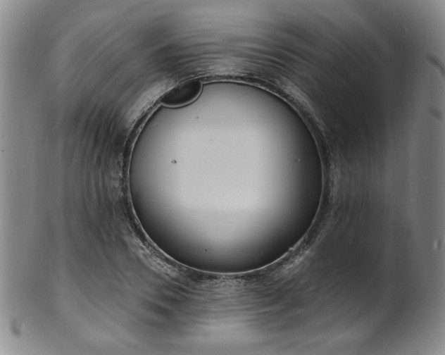 X0000101700930200807101533