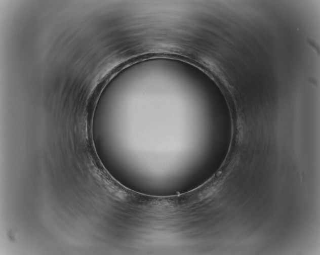 X0000101700931200807101533