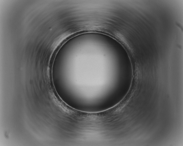 X0000101700932200807101533