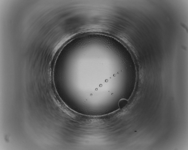X0000101700933200807101533