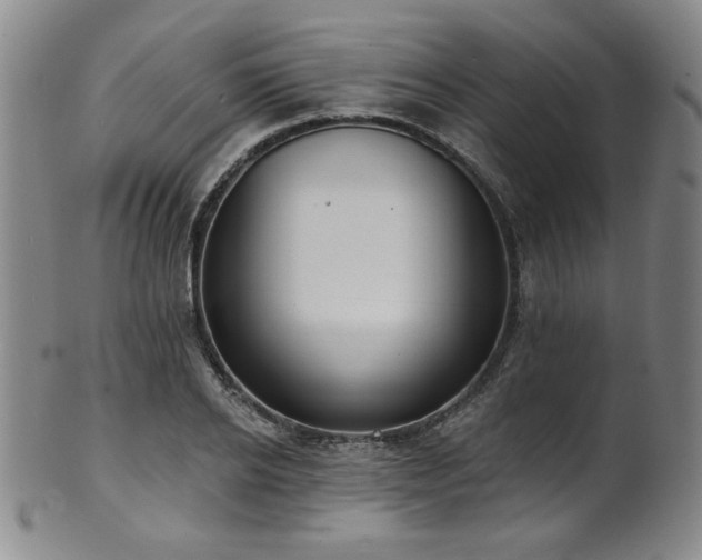 X0000101700934200807101533