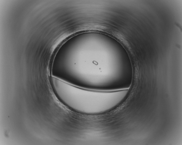 X0000101700936200807101533