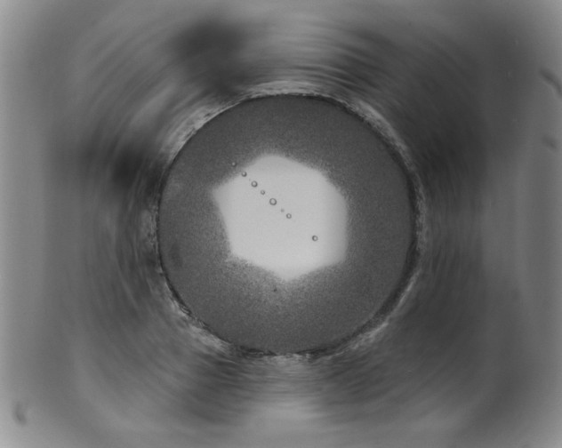 X0000101700937200807101533