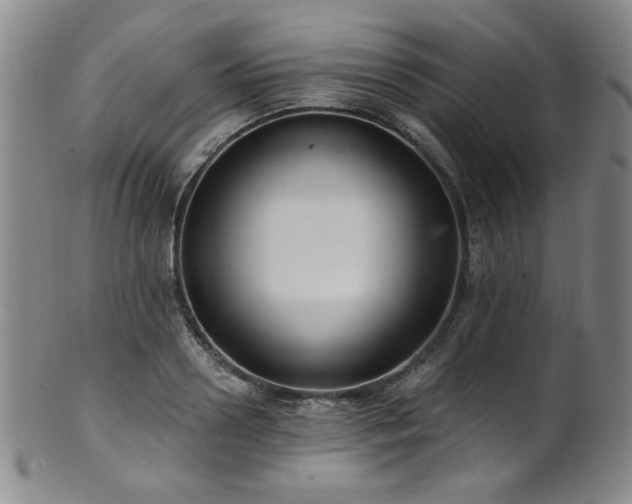 X0000101700938200807101533