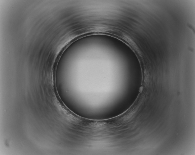 X0000101700939200807101533